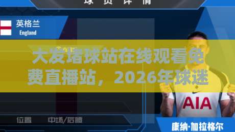 大发堵球站在线观看免费直播站，2026年球迷的新选择？