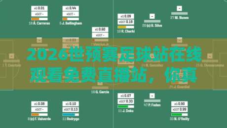 2026世预赛足球站在线观看免费直播站，你真的找对了吗？