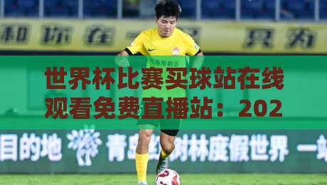 世界杯比赛买球站在线观看免费直播站：2026年球迷必看指南（附安全观赛攻略）