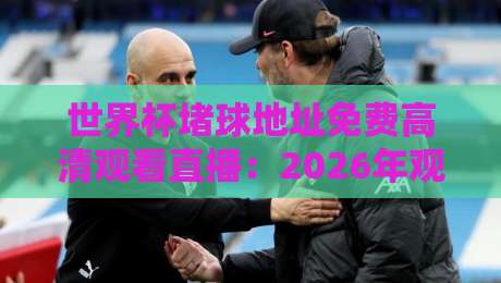 世界杯堵球地址免费高清观看直播：2026年观赛必看指南与避坑技巧