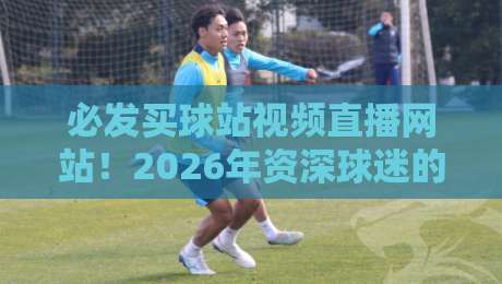 必发买球站视频直播网站！2026年资深球迷的真实体验与避坑指南