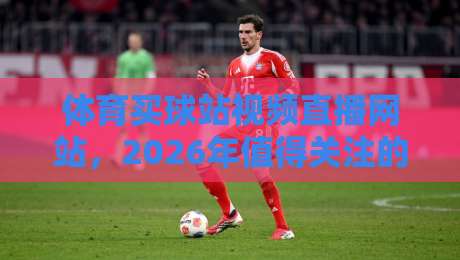 体育买球站视频直播网站，2026年值得关注的五大变化与避坑指南