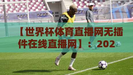 【世界杯体育直播网无插件在线直播网】：2026年观赛新姿势，告别卡顿与广告
