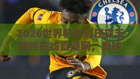 2026世界杯体育压球无插件在线直播网，真球迷的观赛新选择！