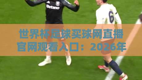 世界杯足球买球网直播官网观看入口：2026年官方观赛渠道全解析（世界杯足球买球网直播官网观看入口）