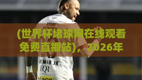 (世界杯堵球网在线观看免费直播站)，2026年看球别踩坑！老球迷私藏指南