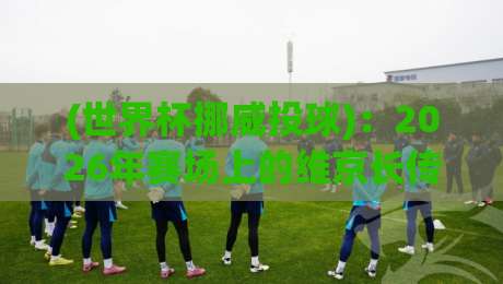 (世界杯挪威投球)：2026年赛场上的维京长传绝技，你了解多少？