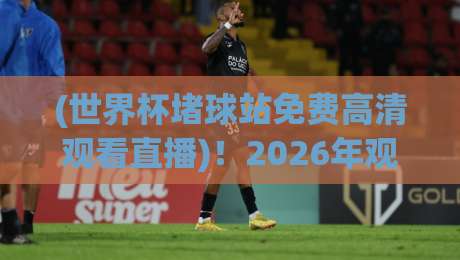 (世界杯堵球站免费高清观看直播)！2026年观赛新玩法与实测避坑指南