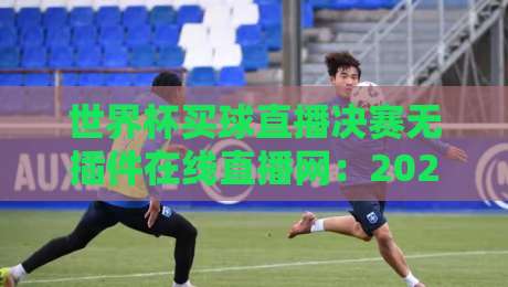 世界杯买球直播决赛无插件在线直播网：2026年终极观赛指南与避坑秘籍