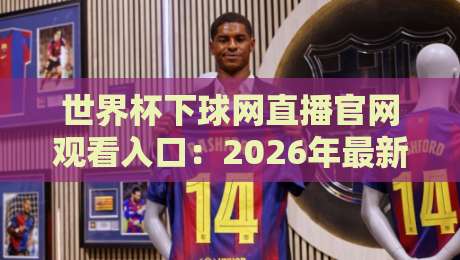 世界杯下球网直播官网观看入口：2026年最新观赛入口与避坑指南