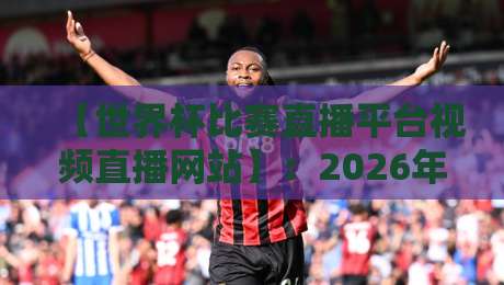 【世界杯比赛直播平台视频直播网站】：2026年观赛指南，这些平台别错过！