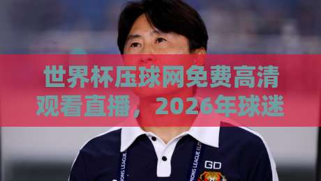 世界杯压球网免费高清观看直播，2026年球迷必看的观赛攻略（原创）