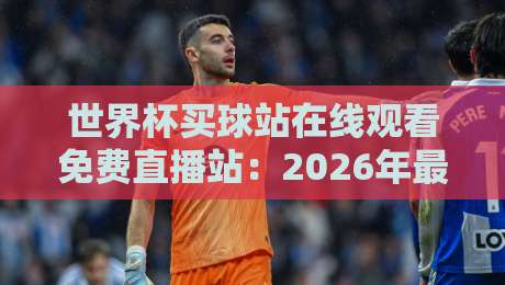 世界杯买球站在线观看免费直播站：2026年最新观赛指南与避坑提醒