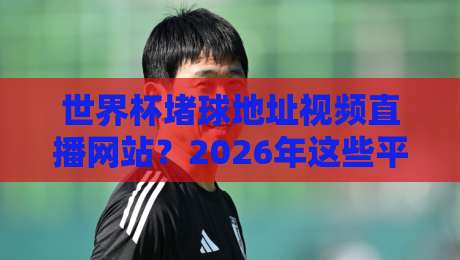 世界杯堵球地址视频直播网站？2026年这些平台才靠谱！
