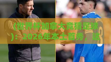 (世界杯加拿大竞猜足球)：2026年本土首秀，这些竞猜门道你得懂