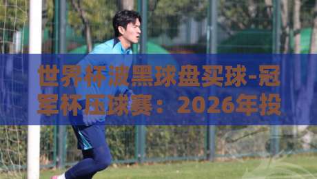 世界杯波黑球盘买球-冠军杯压球赛:2026年投注策略与真实案例解析
