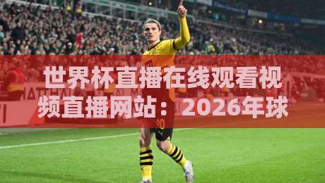 世界杯直播在线观看视频直播网站:2026年球迷必知的5个观赛渠道 世界杯直播在线观看视频直播网站:2026年球迷必知的5个观赛渠道