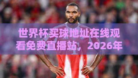世界杯买球地址在线观看免费直播站,2026年球迷必看的高清观赛指南 世界杯买球地址在线观看免费直播站,2026年球迷必看的高清观赛指南