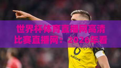 世界杯体育直播网高清比赛直播网：2026年看球神器大揭秘
