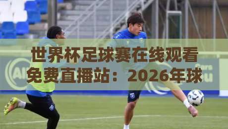 世界杯足球赛在线观看免费直播站：2026年球迷必备的六大观赛通道