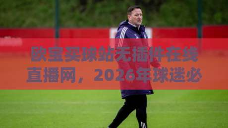 欧宝买球站无插件在线直播网,2026年球迷必备的观赛新入口?