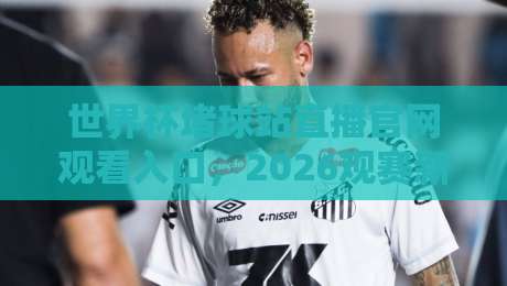 世界杯堵球站直播官网观看入口，2026观赛新姿势了解一下？