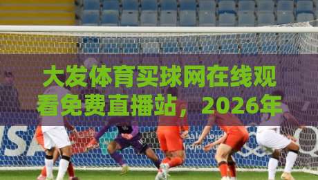 大发体育买球网在线观看免费直播站，2026年实测避坑指南（大发体育买球网在线观看免费直播站）