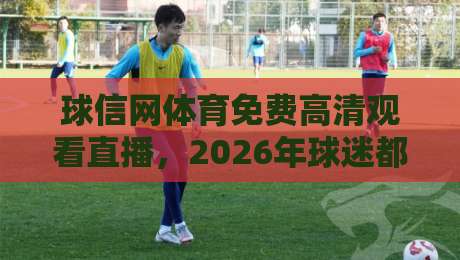 球信网体育免费高清观看直播，2026年球迷都在用的观赛渠道解析
