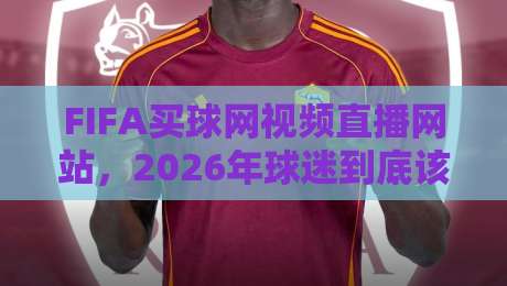 FIFA买球网视频直播网站,2026年球迷到底该怎么选?