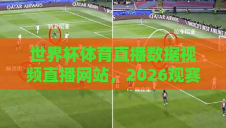 世界杯体育直播数据视频直播网站，2026观赛新姿势！