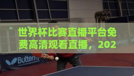 世界杯比赛直播平台免费高清观看直播，2026观赛指南来了！