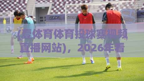 (壹体育体育投球赛视频直播网站)，2026年看球新姿势：高清直播、实时数据、多视角切换，这些功能你都试过吗？