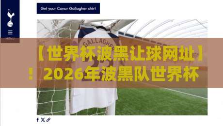 【世界杯波黑让球网址】!2026年波黑队世界杯盘口密码与实战指南