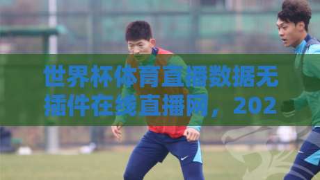 世界杯体育直播数据无插件在线直播网，2026观赛新体验！