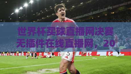 世界杯买球直播网决赛无插件在线直播网，2026终极观赛指南！