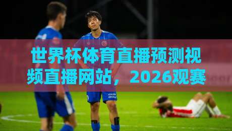 世界杯体育直播预测视频直播网站,2026观赛指南与平台横评