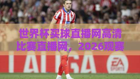 世界杯买球直播网高清比赛直播网，2026观赛指南与避坑手册