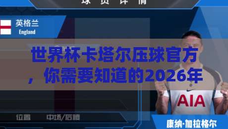 世界杯卡塔尔压球官方,你需要知道的2026年最新动态(世界杯卡塔尔压球官方)