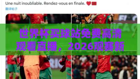 世界杯买球站免费高清观看直播，2026观赛新姿势了解一下？