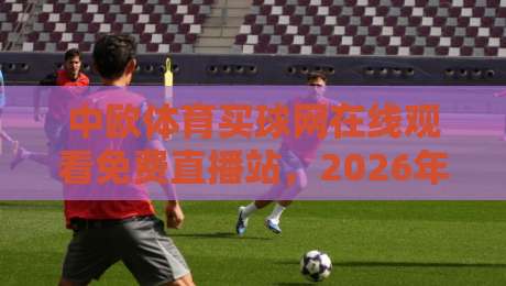 中欧体育买球网在线观看免费直播站,2026年球迷必藏的观赛指南! 中欧体育买球网在线观看免费直播站,2026年球迷必藏的观赛指南!