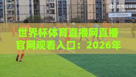 世界杯体育直播网直播官网观看入口：2026年观赛避坑指南与真香体验