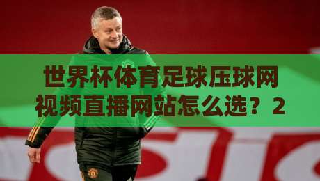 世界杯体育足球压球网视频直播网站怎么选？2026年观赛避坑指南与实用技巧