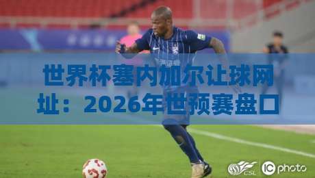 世界杯塞内加尔让球网址:2026年世预赛盘口深度分析与靠谱渠道