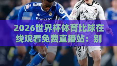 2026世界杯体育比球在线观看免费直播站：别急着收藏，先搞懂这几个门道