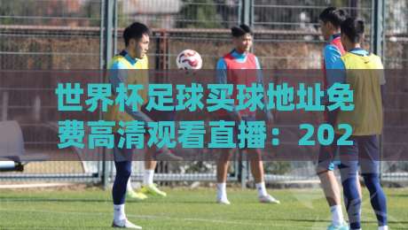 世界杯足球买球地址免费高清观看直播：2026年观赛避坑指南与合法平台盘点