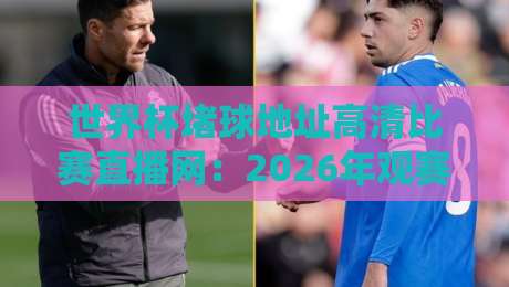 世界杯堵球地址高清比赛直播网：2026年观赛避坑指南，画质与安全如何兼得？