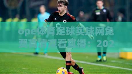 ope体育足球买球网免费高清观看直播:2026年观赛新姿势,你get到了吗? ope体育足球买球网免费高清观看直播:2026年观赛新姿势,你get到了吗?