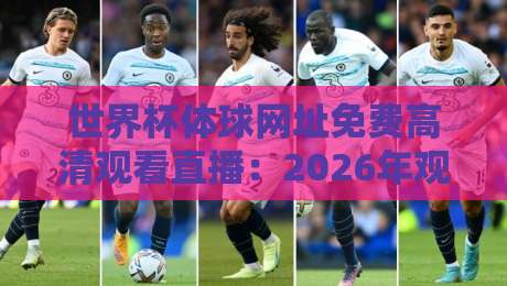 世界杯体球网址免费高清观看直播：2026年观赛避坑指南与真实体验分享