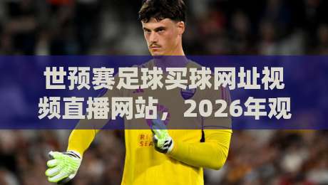 世预赛足球买球网址视频直播网站,2026年观赛避坑指南:老球迷教你三招识破套路