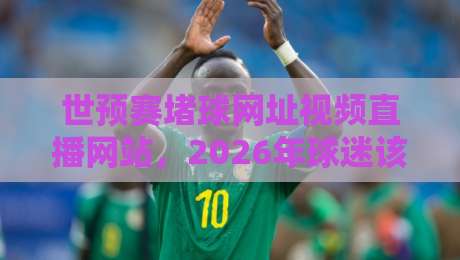 世预赛堵球网址视频直播网站，2026年球迷该去哪儿看球？这份避坑指南请收好